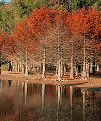 �����ψ���ɼ�� �ͼ�һ����˾�