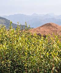 ����ɽ�Ķ��쾰ɫ������ɫ