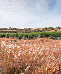 ����ɽ�Ķ��쾰ɫ������ɫ