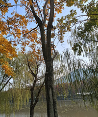 ����ʮȫʮ����ȻŮ�����߲�����ôͦ�Σ�������һ�������빤����