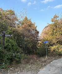 �ϰ಻����ɽ