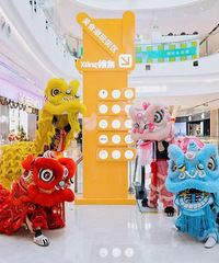 ����˫����������