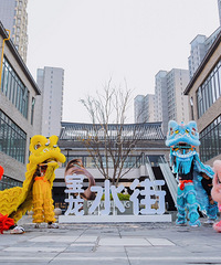 ����˫����������