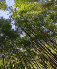 ������ˣ��Ҹ�����ؼ�