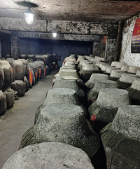 ������Ŷ���