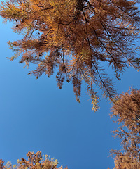 �����ط������˼��̻�