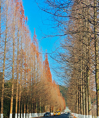 ����Խ��Խ��---�ٺ�С֥�Ķ���ů��