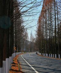 ����Խ��Խ��---�ٺ�С֥�Ķ���ů��