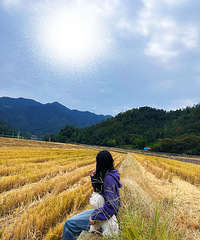 ����Ҷ�������