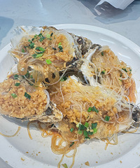 ��������������ûһ��ʼ��ô����