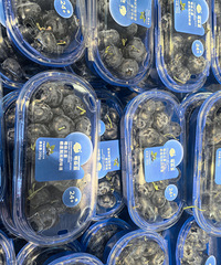 �����٣�ȥ�³��й��