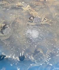 �����٣�ȥ�³��й��