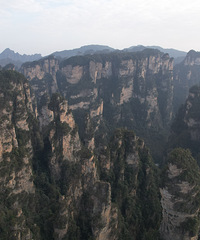 �����żҽ�����կȥ�ģ�ȴ������¥������������ˮ