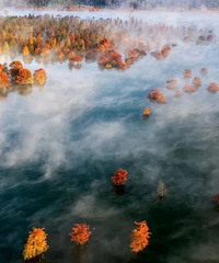 ̨�ݺ�ɼ�֡������ġ��㣺�������ⳬȼ��ů��ʢ�磡