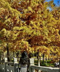 ̨�ݺ�ɼ�֡������ġ��㣺�������ⳬȼ��ů��ʢ�磡