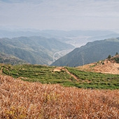 ��������ɽ��ɫ