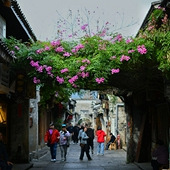 �ٺ��ųǹŽ���Ӱ