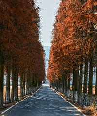 �ٺ�С֥�Ķ���ů��