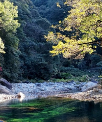 ��Ҷ��ˮ����ɽ