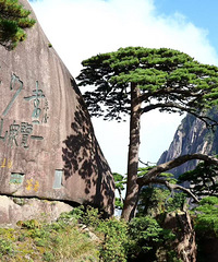 ������������ɽ����ɽ����������