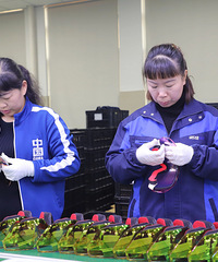 ���ˣ���ǰ���ǣ�̨�������ҵ�ϰ�æ���ˣ����˶����ŵ�����