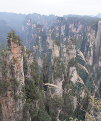 ͦ�������������԰�뻭������������۴˼�