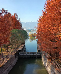 ��������Ҷ��ú죬�Ƶûƣ�������һ����