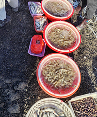 ͷ�Ÿ�����ʯͷз��ƤƤϺ��Щ�����˼۸񲻹󣬵��ǲ���