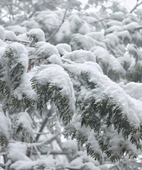 һ��������̨����ѩ�ˣ�