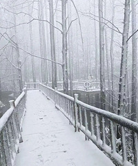 һ��������̨����ѩ�ˣ�