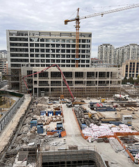 2026�����ã��������ҽԺǨ���������½�չ