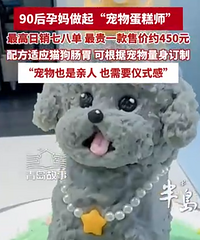 ���������ﵰ�������450Ԫ