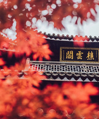 ̨�ݸ��Ƕ�������1��1������ѿ��ţ�