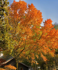 ������ʫ·�����������