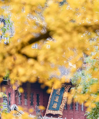 ������ʫ·�����������