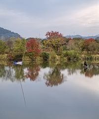 �������룬���㻹ƫҪ��������ȥ������