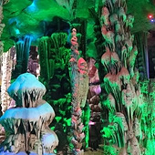 ֻ������