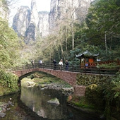 ʮ�ﻭ��Ѱ��