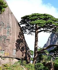 ������������ɽ����ɽ����������