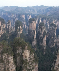 ���Ǵ�կ�������żҽ�