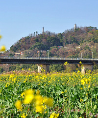 �ٺ�̨�ݸ����ϰ�ͣ�����ܱߵ��Ͳ˻����ˣ�