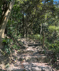 ��Ϫ�ŵ�ͽ��