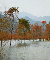 һ��һ�Ⱥ�����