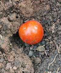 �Դ���������