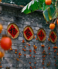 ���Խ��ǣ�Ψ�����ݣ�