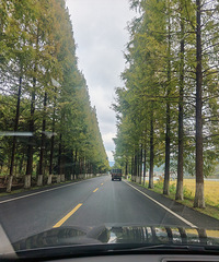 95�У�������ҵ�����Ѱ����������Ů����