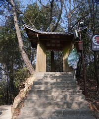 ͦ������������կ���żҽ�����