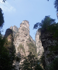 ͦ������������կ���żҽ�����