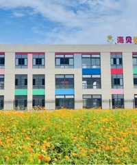 ̨��������6���׶�԰˳��ͨ��ʡ����������ѧǰ��������������