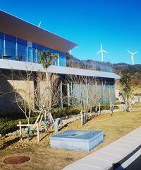 ��2025���μǡ��ϴ�µ����²�����-���ſڵ���������װ��